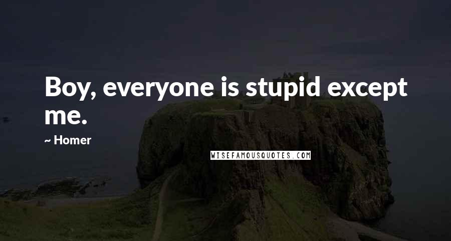 Homer Quotes: Boy, everyone is stupid except me.