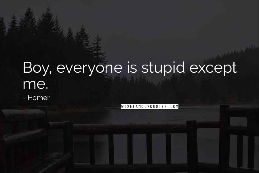 Homer Quotes: Boy, everyone is stupid except me.