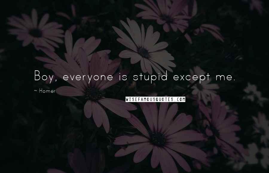 Homer Quotes: Boy, everyone is stupid except me.