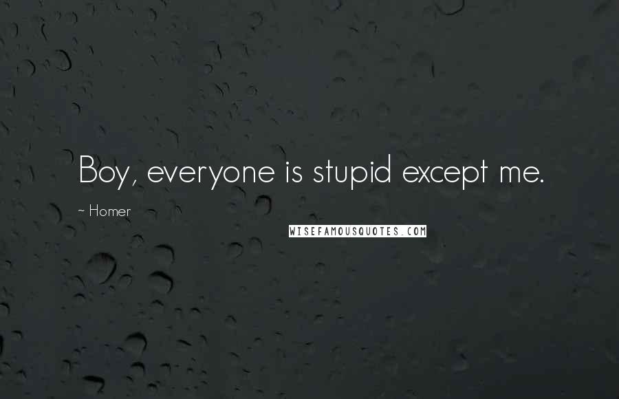 Homer Quotes: Boy, everyone is stupid except me.