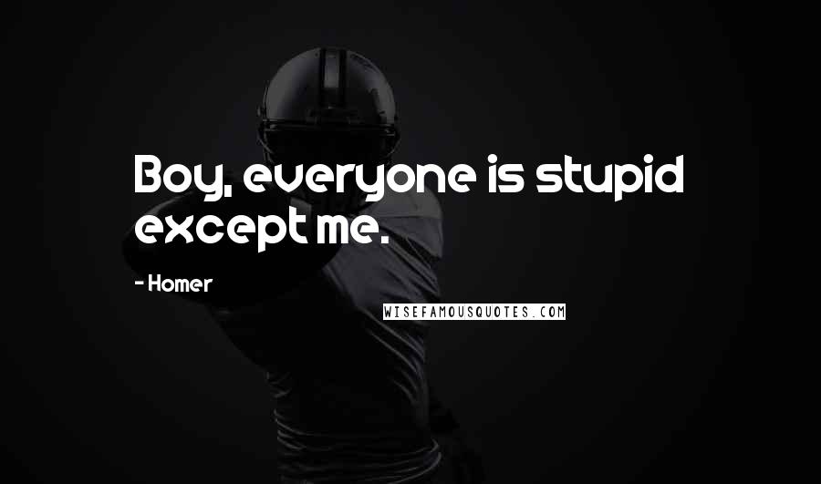 Homer Quotes: Boy, everyone is stupid except me.