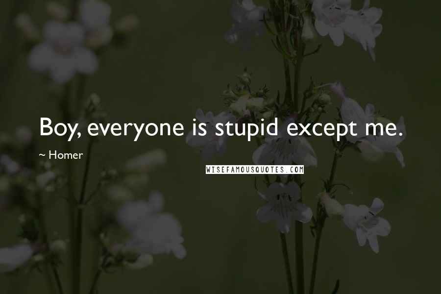 Homer Quotes: Boy, everyone is stupid except me.