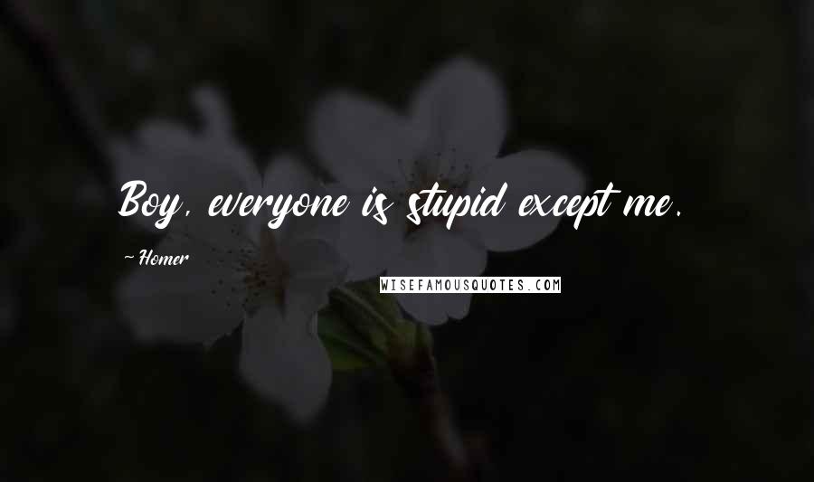 Homer Quotes: Boy, everyone is stupid except me.