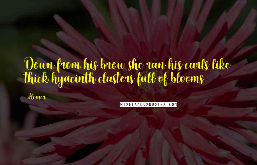 Homer Quotes: Down from his brow she ran his curls like thick hyacinth clusters full of blooms