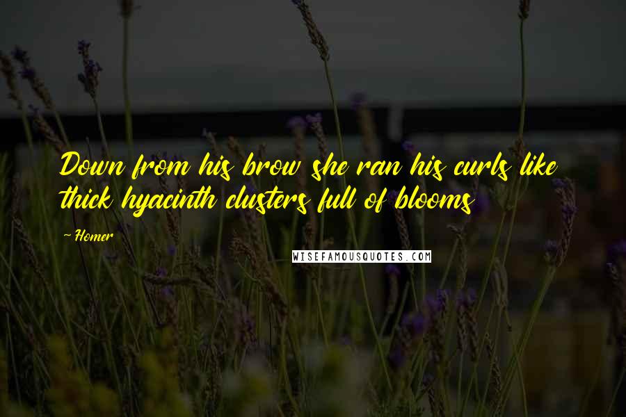 Homer Quotes: Down from his brow she ran his curls like thick hyacinth clusters full of blooms