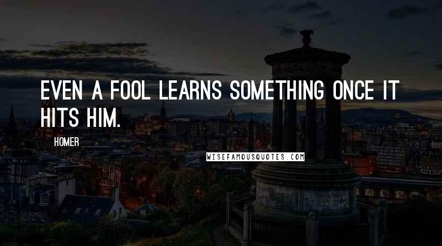 Homer Quotes: Even a fool learns something once it hits him.