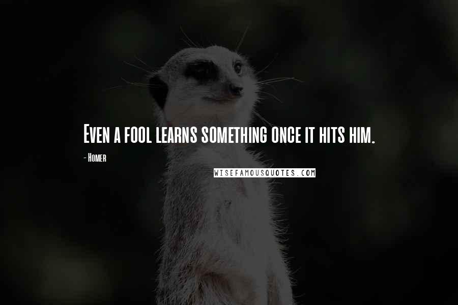 Homer Quotes: Even a fool learns something once it hits him.