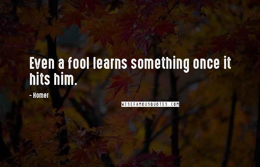 Homer Quotes: Even a fool learns something once it hits him.