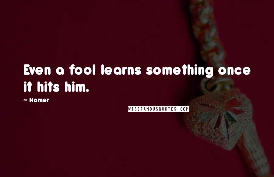 Homer Quotes: Even a fool learns something once it hits him.