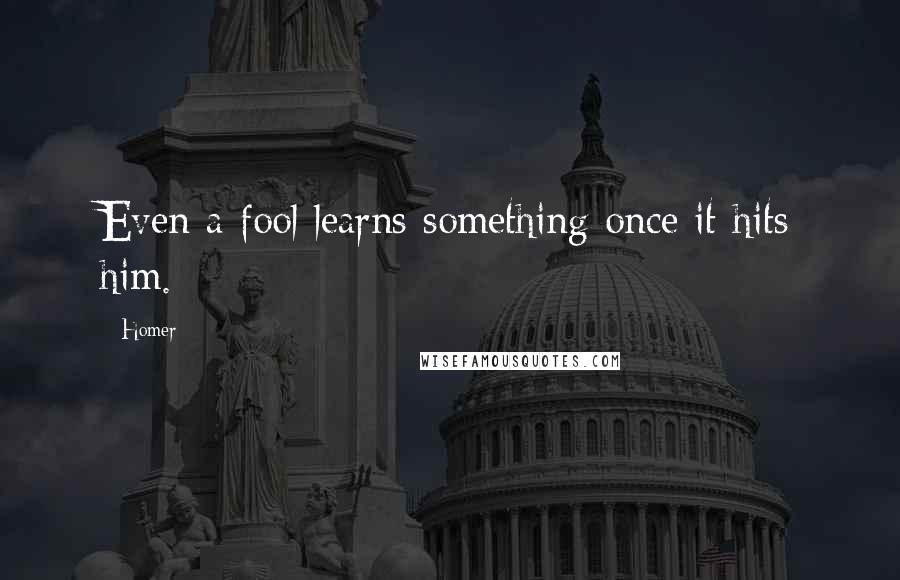 Homer Quotes: Even a fool learns something once it hits him.