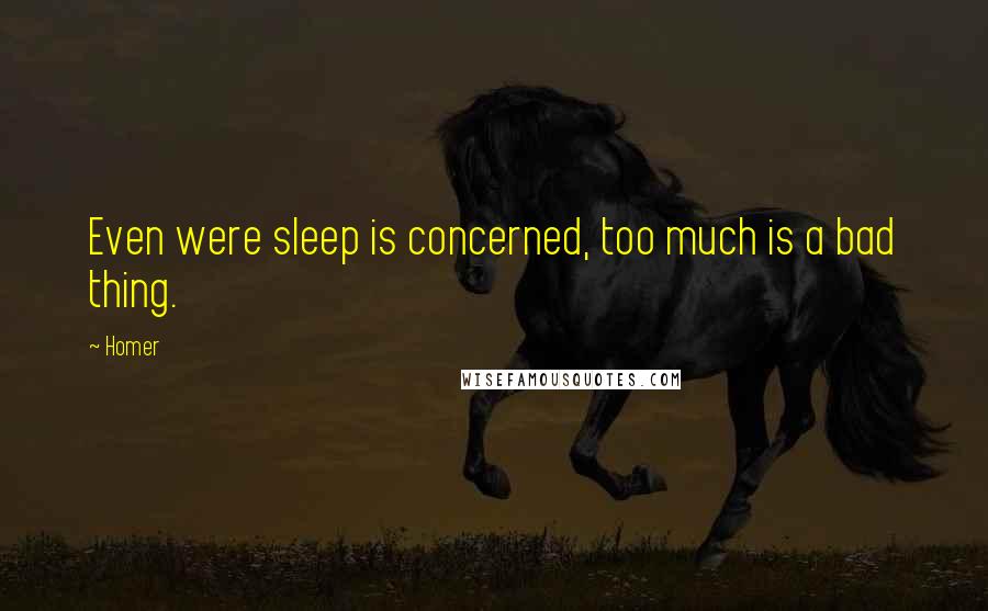Homer Quotes: Even were sleep is concerned, too much is a bad thing.