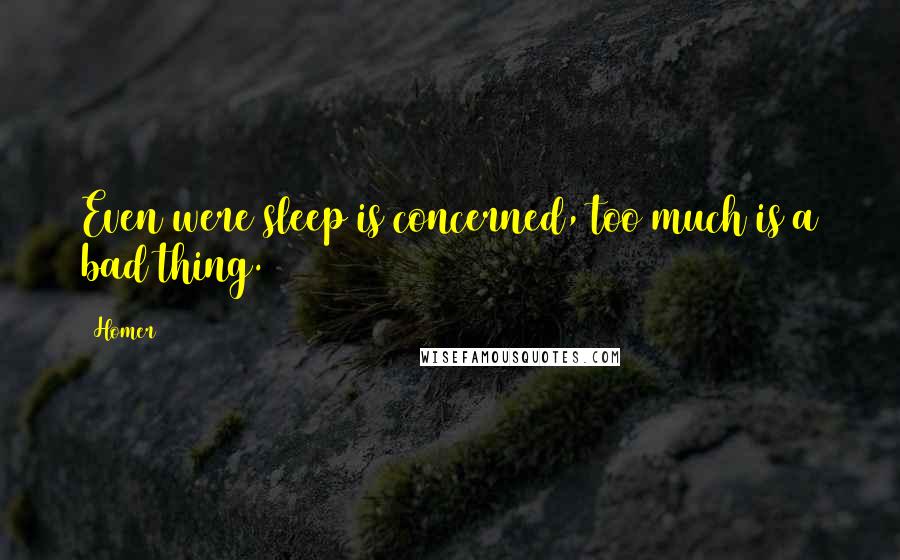 Homer Quotes: Even were sleep is concerned, too much is a bad thing.