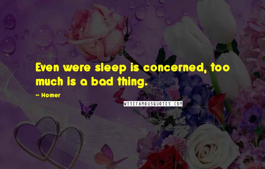 Homer Quotes: Even were sleep is concerned, too much is a bad thing.