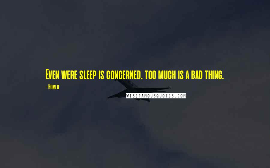 Homer Quotes: Even were sleep is concerned, too much is a bad thing.