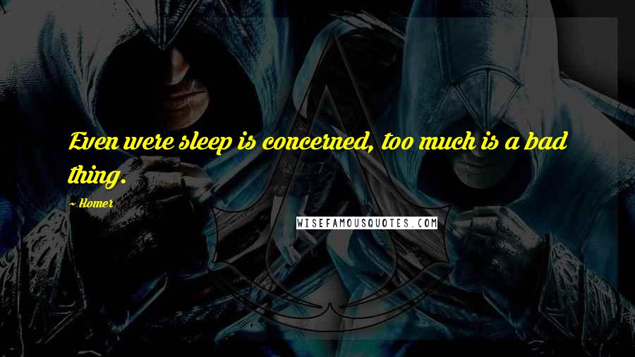 Homer Quotes: Even were sleep is concerned, too much is a bad thing.
