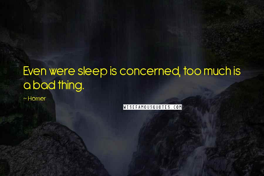Homer Quotes: Even were sleep is concerned, too much is a bad thing.