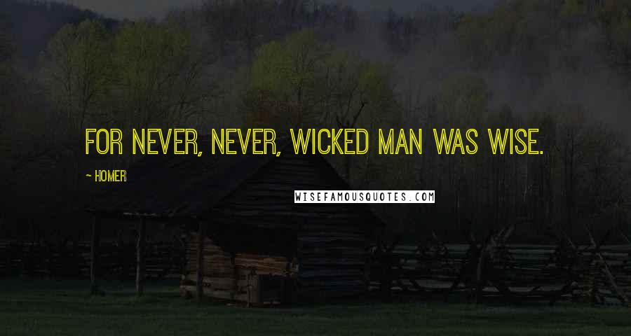 Homer Quotes: For never, never, wicked man was wise.