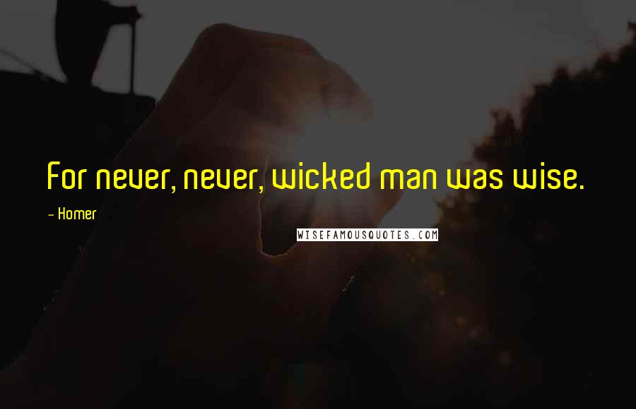 Homer Quotes: For never, never, wicked man was wise.