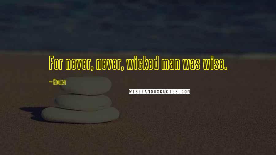 Homer Quotes: For never, never, wicked man was wise.