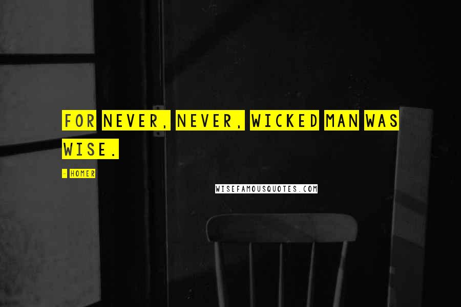 Homer Quotes: For never, never, wicked man was wise.