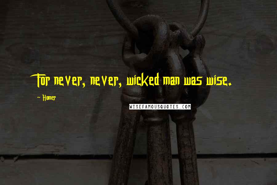 Homer Quotes: For never, never, wicked man was wise.