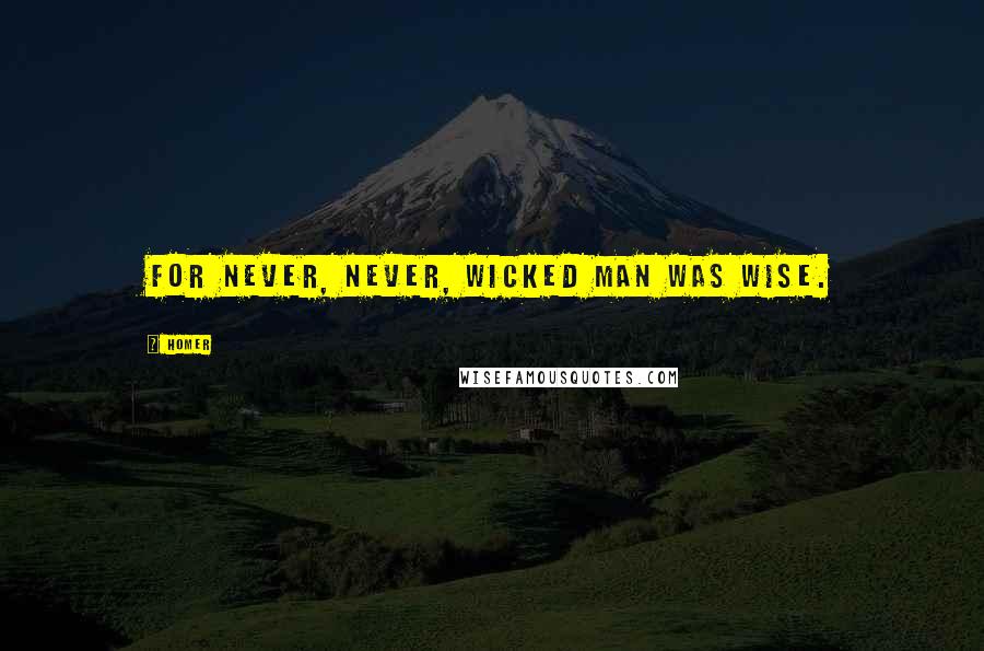 Homer Quotes: For never, never, wicked man was wise.
