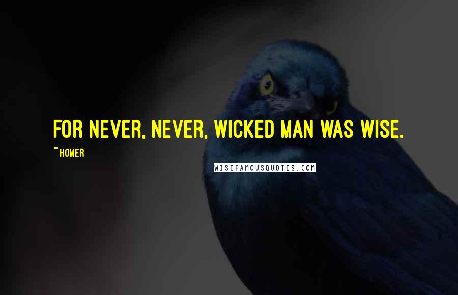 Homer Quotes: For never, never, wicked man was wise.