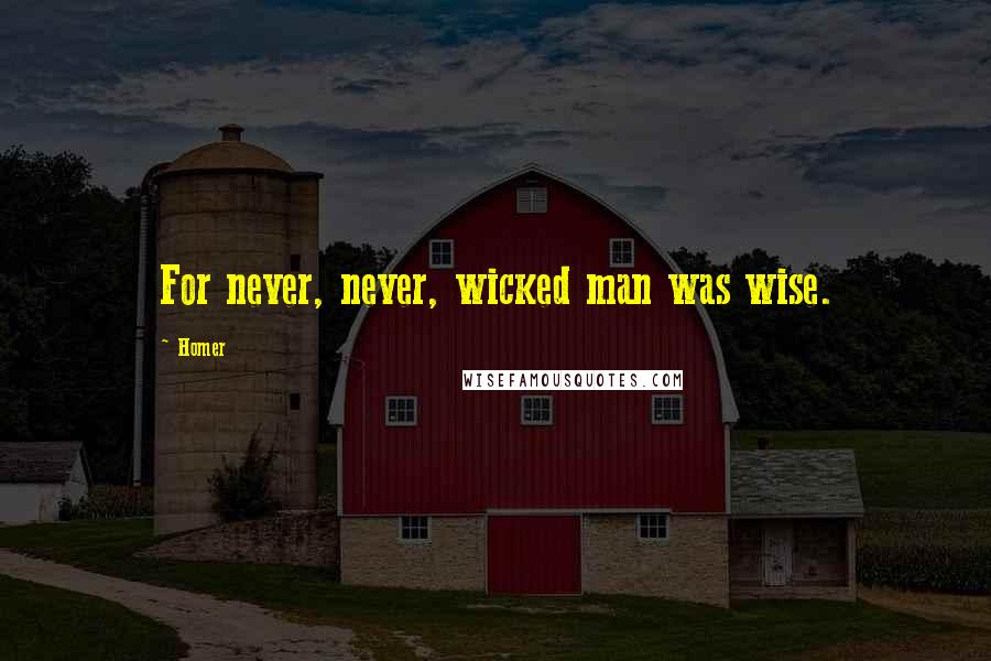 Homer Quotes: For never, never, wicked man was wise.