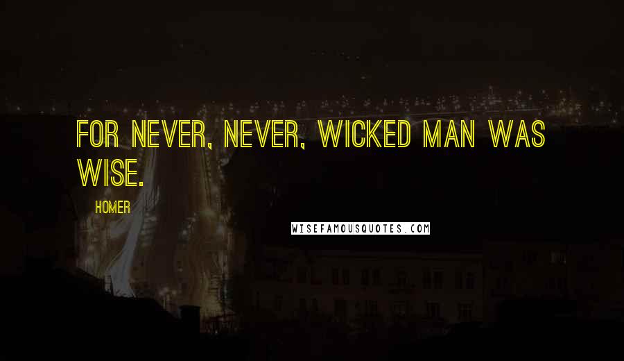 Homer Quotes: For never, never, wicked man was wise.