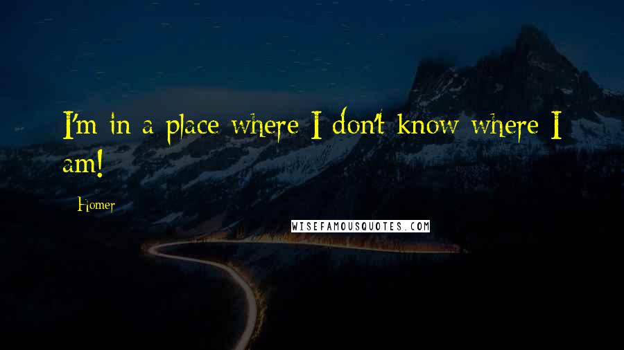 Homer Quotes: I'm in a place where I don't know where I am!