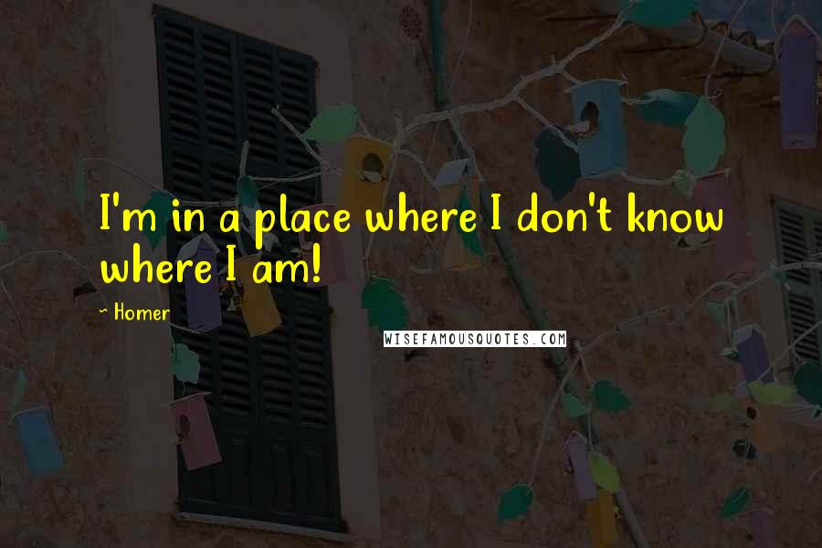 Homer Quotes: I'm in a place where I don't know where I am!