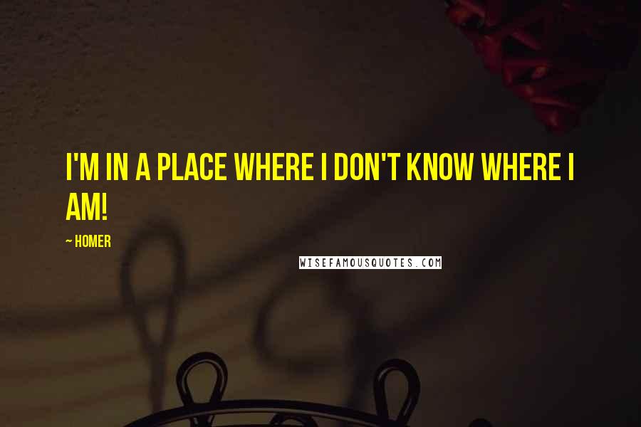 Homer Quotes: I'm in a place where I don't know where I am!