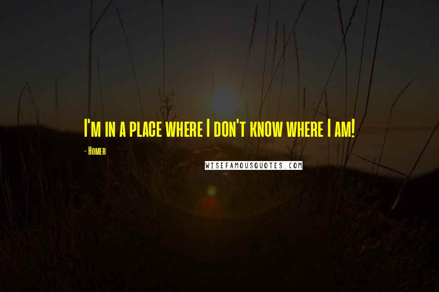 Homer Quotes: I'm in a place where I don't know where I am!