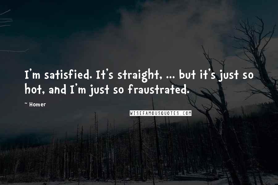 Homer Quotes: I'm satisfied. It's straight, ... but it's just so hot, and I'm just so fraustrated.