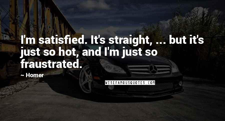 Homer Quotes: I'm satisfied. It's straight, ... but it's just so hot, and I'm just so fraustrated.