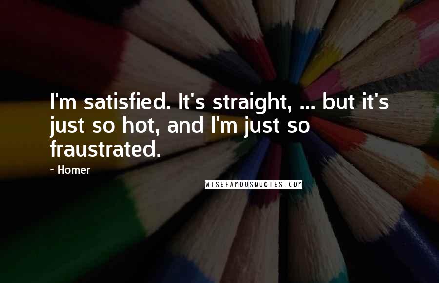 Homer Quotes: I'm satisfied. It's straight, ... but it's just so hot, and I'm just so fraustrated.