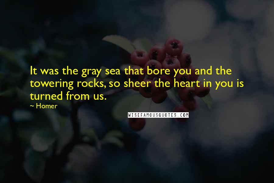 Homer Quotes: It was the gray sea that bore you and the towering rocks, so sheer the heart in you is turned from us.