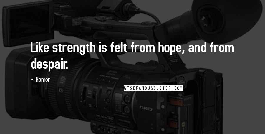 Homer Quotes: Like strength is felt from hope, and from despair.