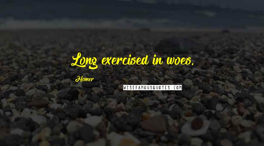 Homer Quotes: Long exercised in woes.