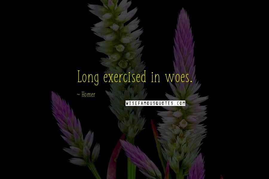 Homer Quotes: Long exercised in woes.