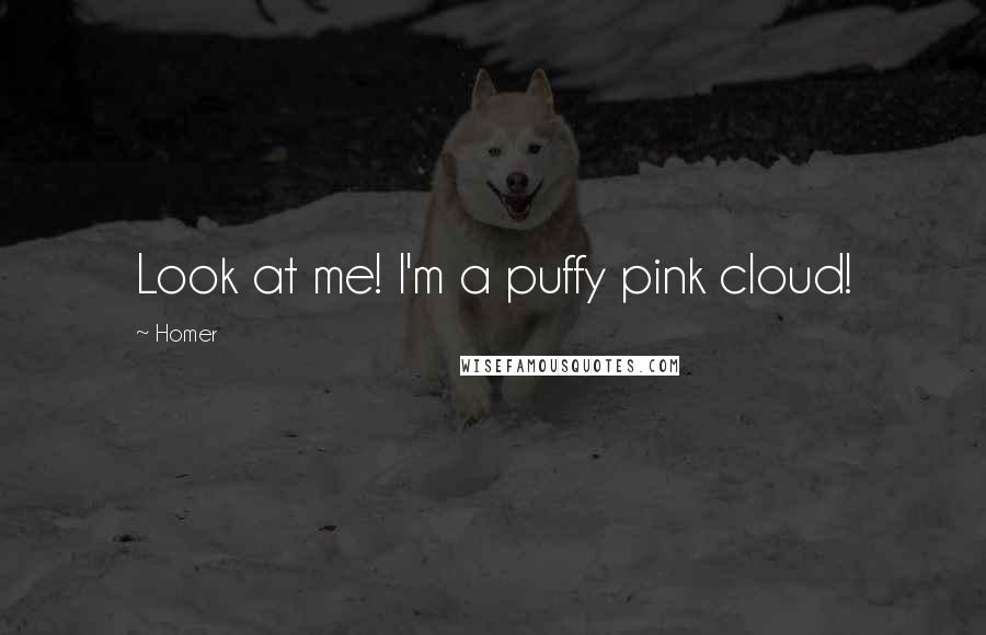 Homer Quotes: Look at me! I'm a puffy pink cloud!