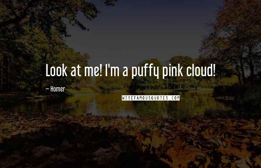 Homer Quotes: Look at me! I'm a puffy pink cloud!