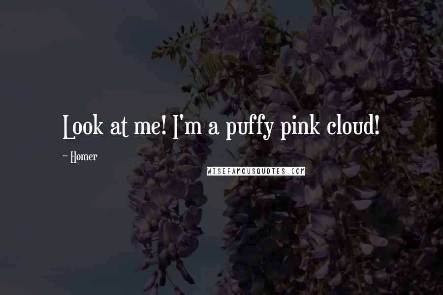 Homer Quotes: Look at me! I'm a puffy pink cloud!