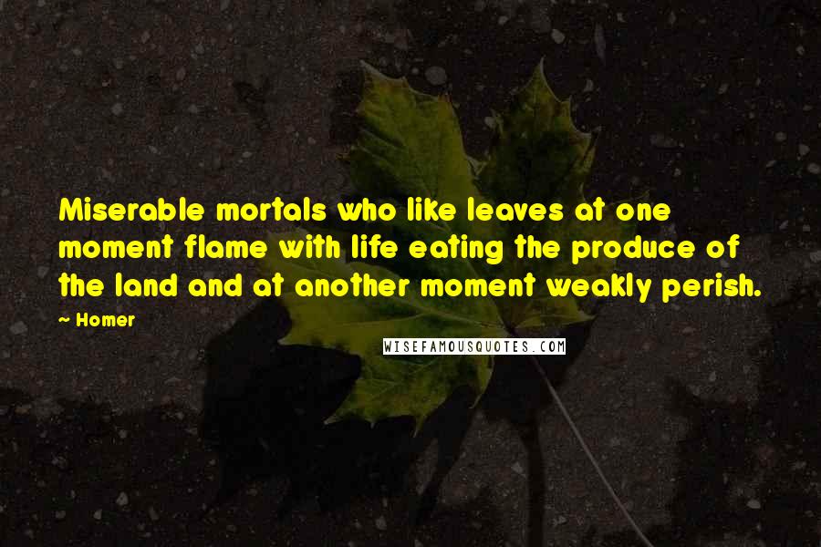 Homer Quotes: Miserable mortals who like leaves at one moment flame with life eating the produce of the land and at another moment weakly perish.