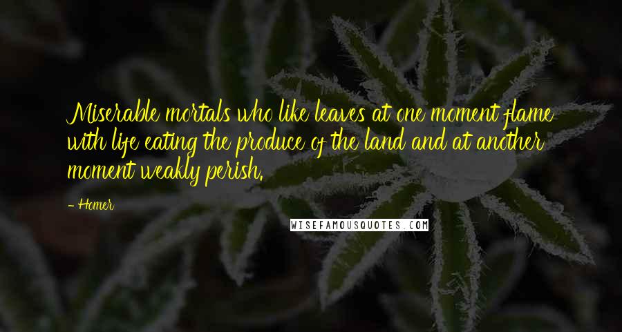 Homer Quotes: Miserable mortals who like leaves at one moment flame with life eating the produce of the land and at another moment weakly perish.