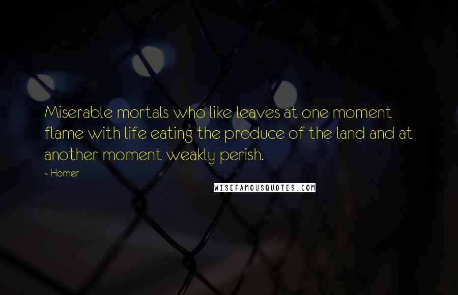 Homer Quotes: Miserable mortals who like leaves at one moment flame with life eating the produce of the land and at another moment weakly perish.