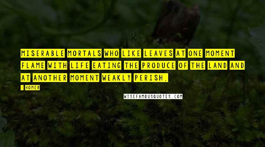 Homer Quotes: Miserable mortals who like leaves at one moment flame with life eating the produce of the land and at another moment weakly perish.