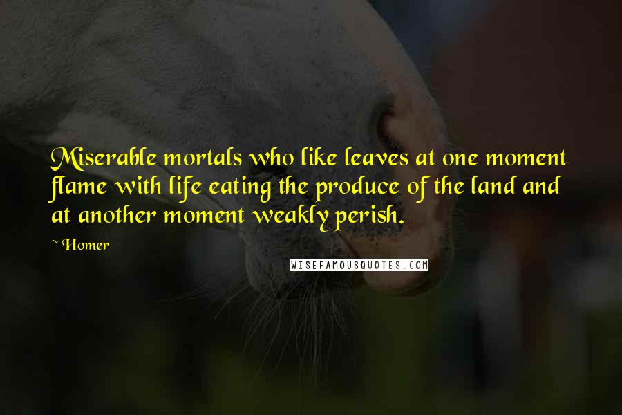 Homer Quotes: Miserable mortals who like leaves at one moment flame with life eating the produce of the land and at another moment weakly perish.