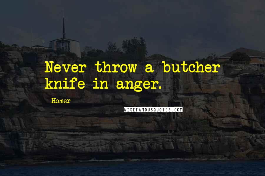 Homer Quotes: Never throw a butcher knife in anger.