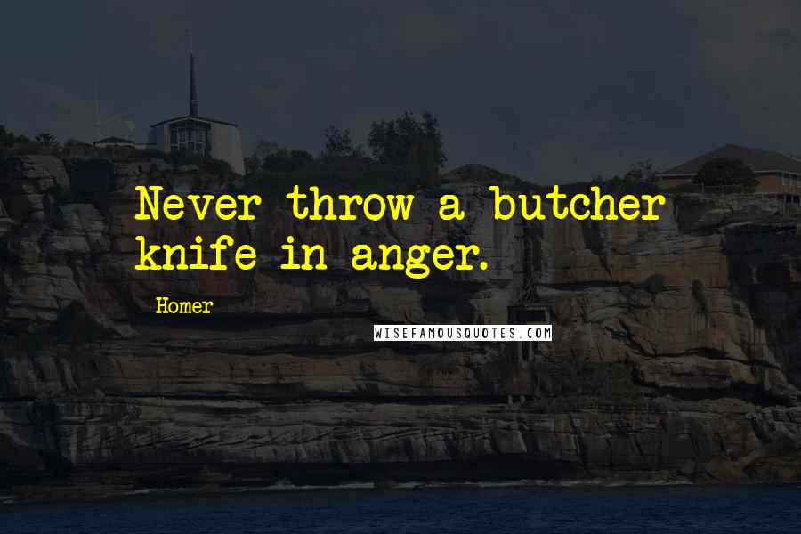 Homer Quotes: Never throw a butcher knife in anger.